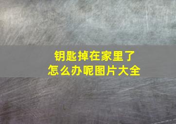 钥匙掉在家里了怎么办呢图片大全