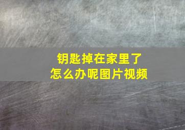 钥匙掉在家里了怎么办呢图片视频