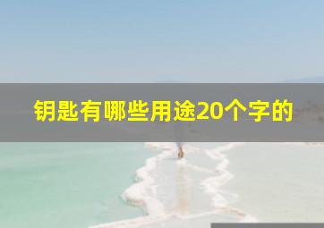 钥匙有哪些用途20个字的