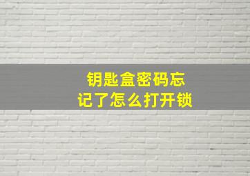 钥匙盒密码忘记了怎么打开锁