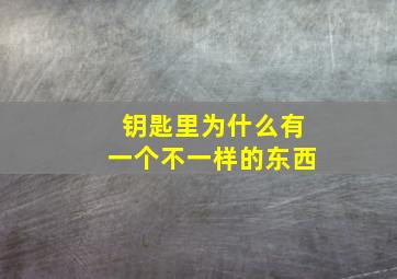 钥匙里为什么有一个不一样的东西