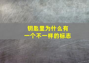 钥匙里为什么有一个不一样的标志