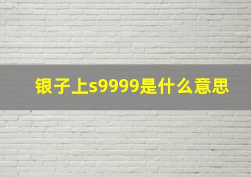 银子上s9999是什么意思