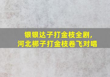 银银达子打金枝全剧,河北梆子打金枝卷飞对唱