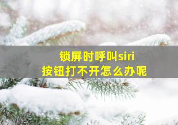 锁屏时呼叫siri按钮打不开怎么办呢