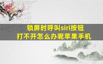 锁屏时呼叫siri按钮打不开怎么办呢苹果手机