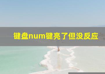 键盘num键亮了但没反应