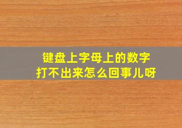 键盘上字母上的数字打不出来怎么回事儿呀