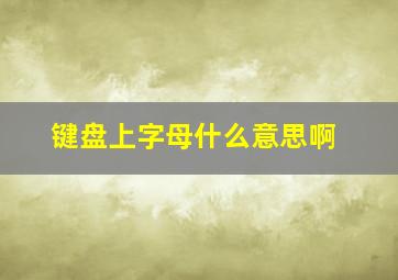 键盘上字母什么意思啊