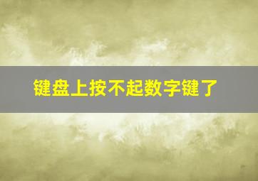 键盘上按不起数字键了