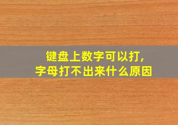 键盘上数字可以打,字母打不出来什么原因