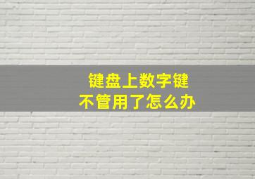 键盘上数字键不管用了怎么办