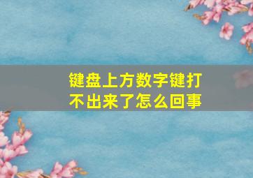 键盘上方数字键打不出来了怎么回事