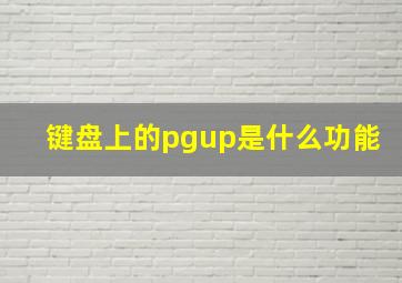 键盘上的pgup是什么功能