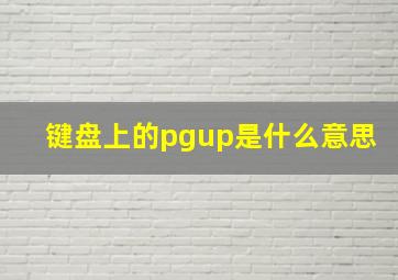 键盘上的pgup是什么意思