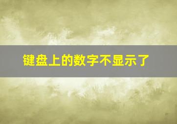 键盘上的数字不显示了