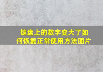 键盘上的数字变大了如何恢复正常使用方法图片