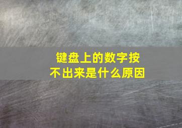 键盘上的数字按不出来是什么原因