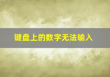 键盘上的数字无法输入