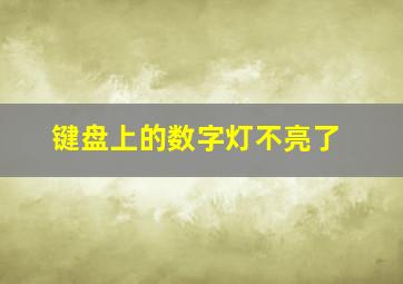 键盘上的数字灯不亮了