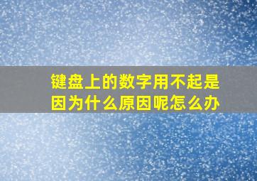 键盘上的数字用不起是因为什么原因呢怎么办