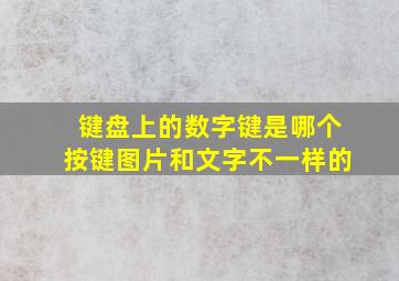 键盘上的数字键是哪个按键图片和文字不一样的