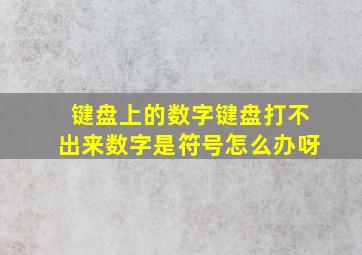 键盘上的数字键盘打不出来数字是符号怎么办呀