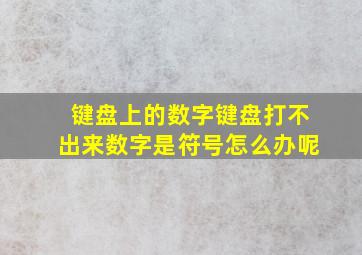 键盘上的数字键盘打不出来数字是符号怎么办呢