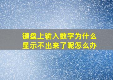 键盘上输入数字为什么显示不出来了呢怎么办