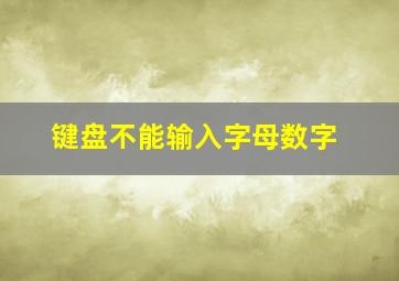 键盘不能输入字母数字