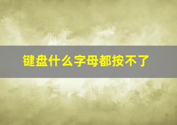 键盘什么字母都按不了