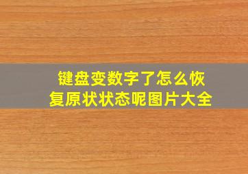 键盘变数字了怎么恢复原状状态呢图片大全