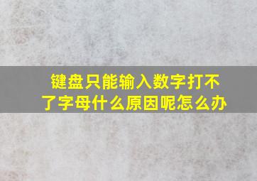 键盘只能输入数字打不了字母什么原因呢怎么办