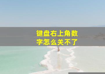 键盘右上角数字怎么关不了