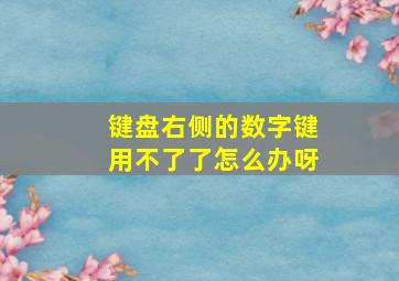 键盘右侧的数字键用不了了怎么办呀