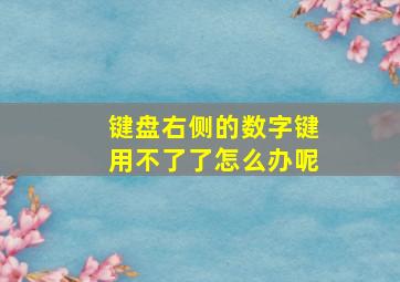 键盘右侧的数字键用不了了怎么办呢