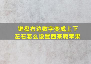 键盘右边数字变成上下左右怎么设置回来呢苹果