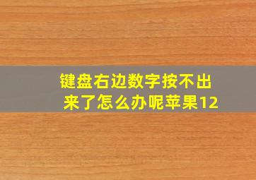 键盘右边数字按不出来了怎么办呢苹果12