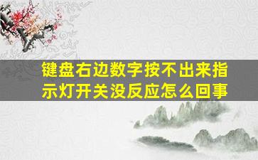 键盘右边数字按不出来指示灯开关没反应怎么回事