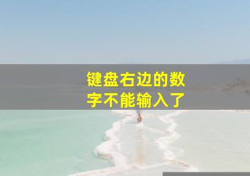 键盘右边的数字不能输入了