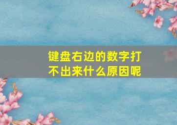 键盘右边的数字打不出来什么原因呢