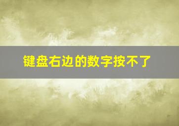 键盘右边的数字按不了