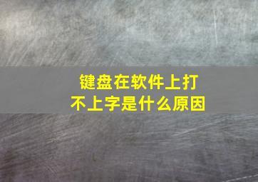 键盘在软件上打不上字是什么原因