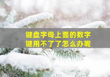 键盘字母上面的数字键用不了了怎么办呢