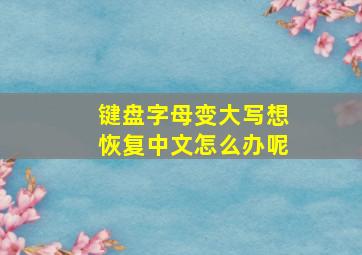 键盘字母变大写想恢复中文怎么办呢