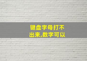 键盘字母打不出来,数字可以