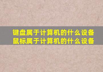 键盘属于计算机的什么设备鼠标属于计算机的什么设备