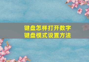 键盘怎样打开数字键盘模式设置方法