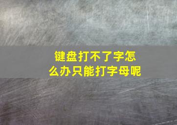 键盘打不了字怎么办只能打字母呢