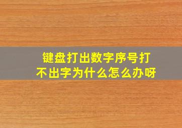 键盘打出数字序号打不出字为什么怎么办呀